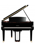 C6X (Polished Ebony), зображення 2